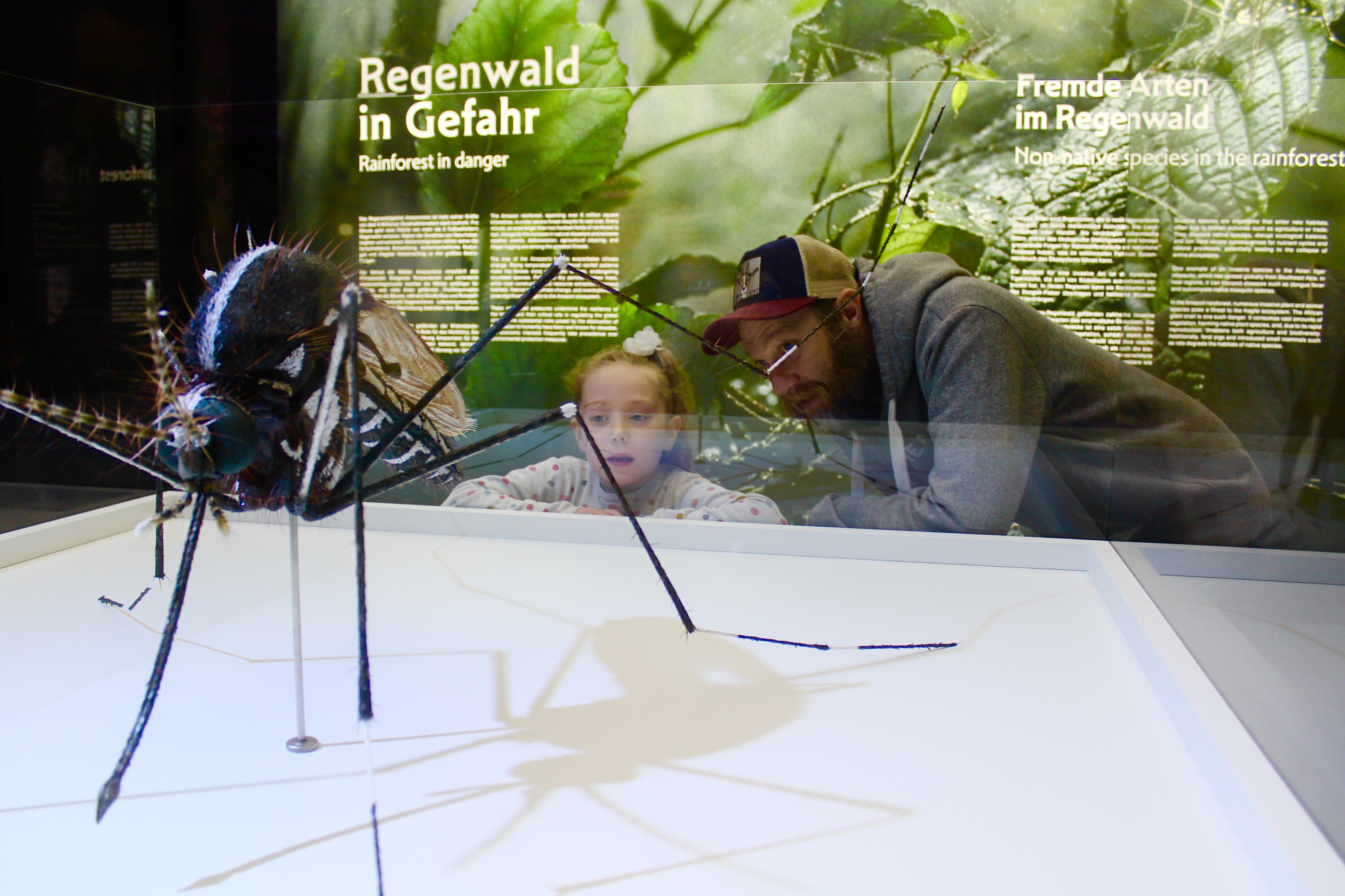 Kind schaut mit Vater die Amazonien Ausstellung an