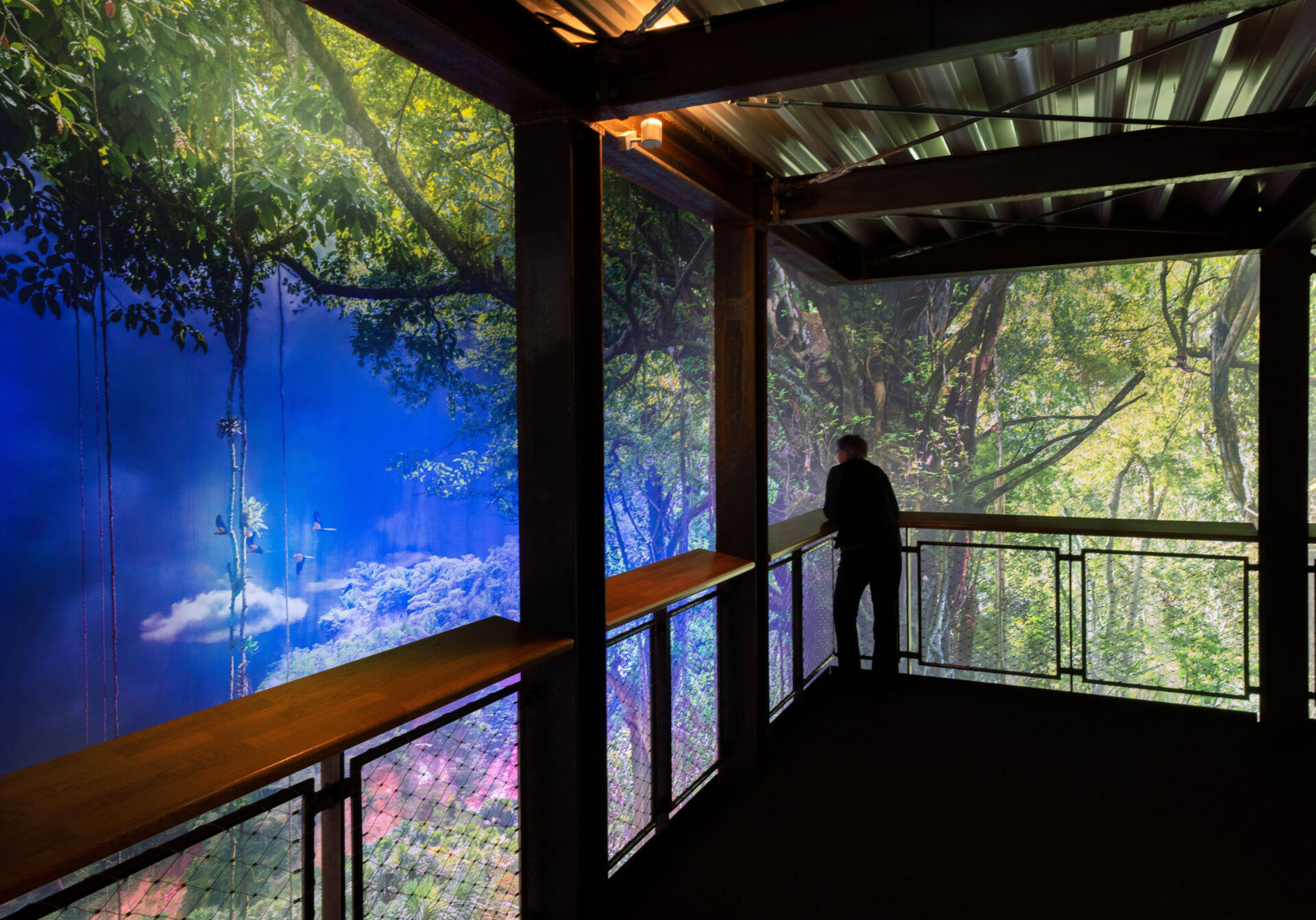 Besucher steht auf einer Aussichtsplattform vor einer großformatigen Waldprojektion im Panoramabereich.