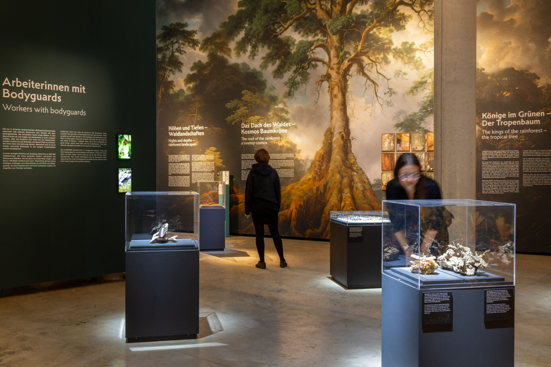 Ausstellung im 360° Panorama mit Regenwald-Motiv, Vitrinen und zwei Besuchern vor erklärenden Wandtafeln