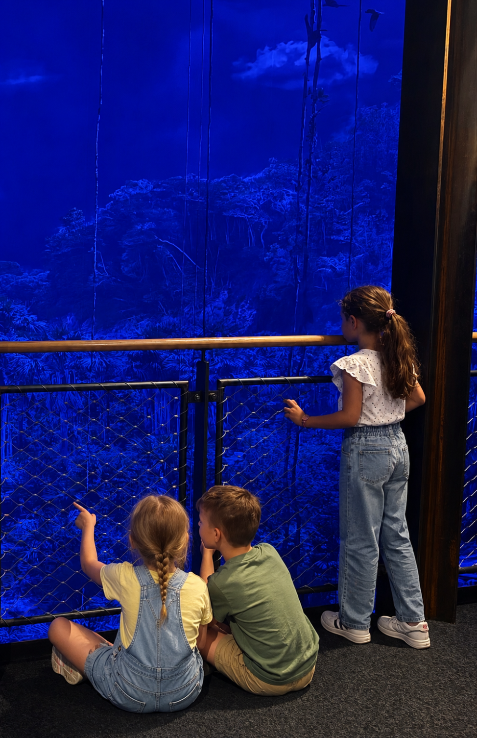 Drei Kinder schauen auf ein blau beleuchtetes Waldpanorama mit Aussichtsgeländer.