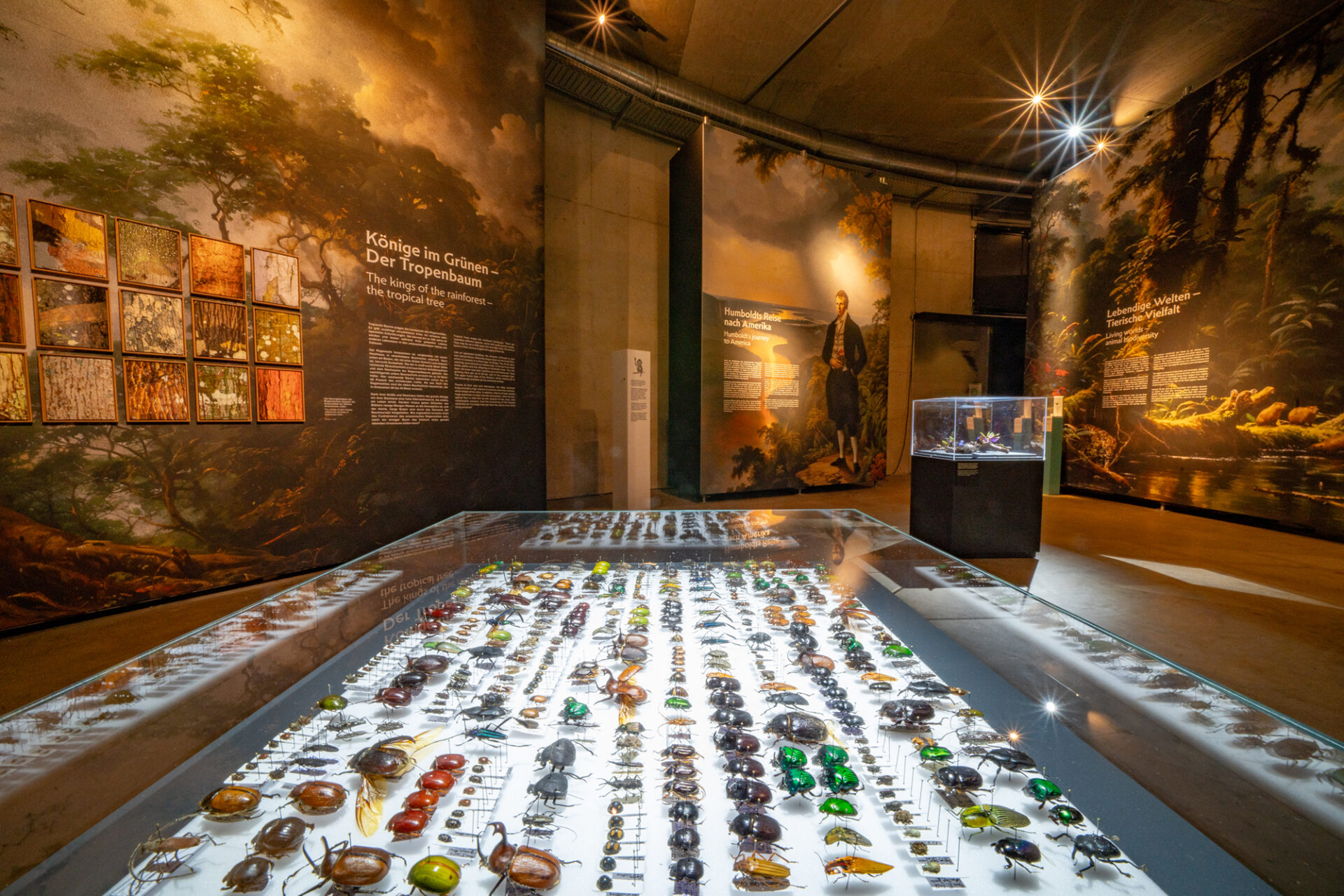 Begleitausstellung mit Insektenpräparaten und Wandtafeln zur Tropenwelt, wohl im Umfeld des 360° Panorama Konstanz.